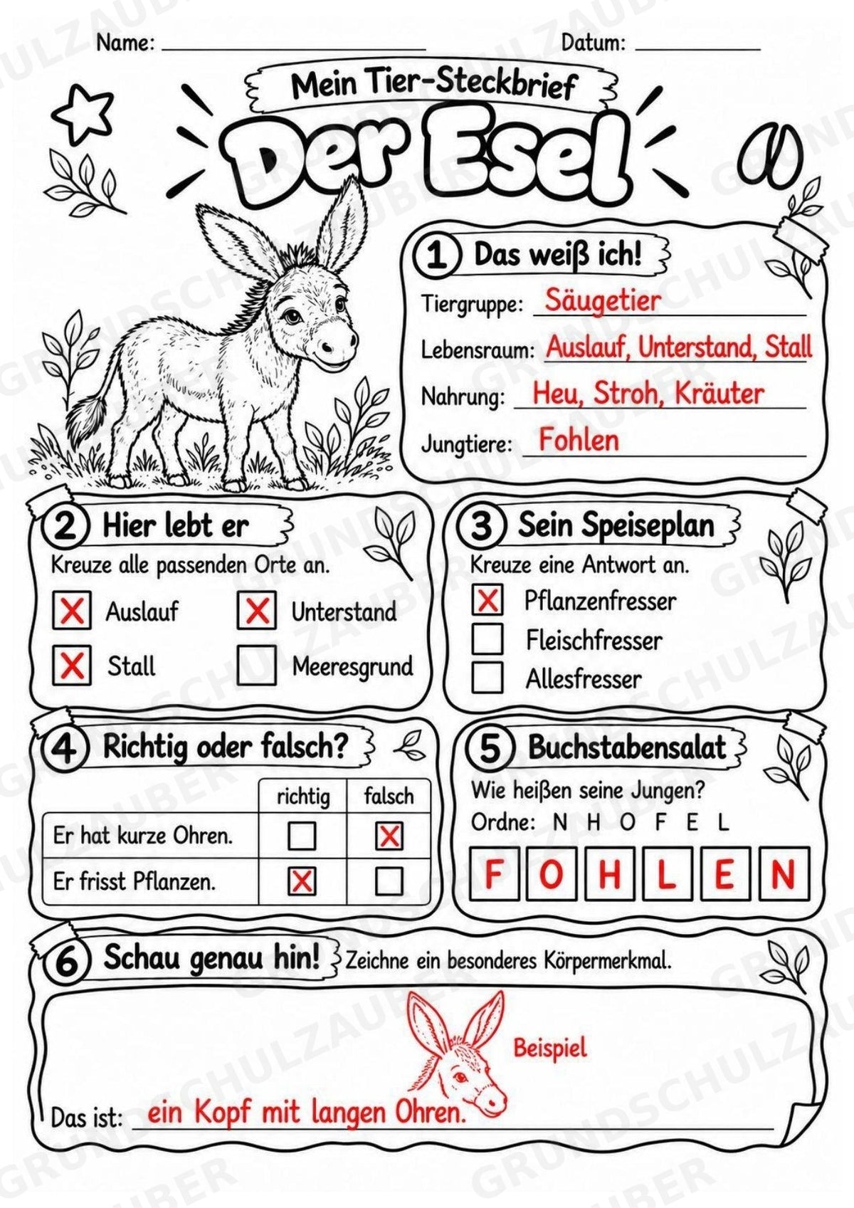 Esel - Lesetext & Steckbrief | Sachunterricht Tiere Grundschule – Materialseite 5