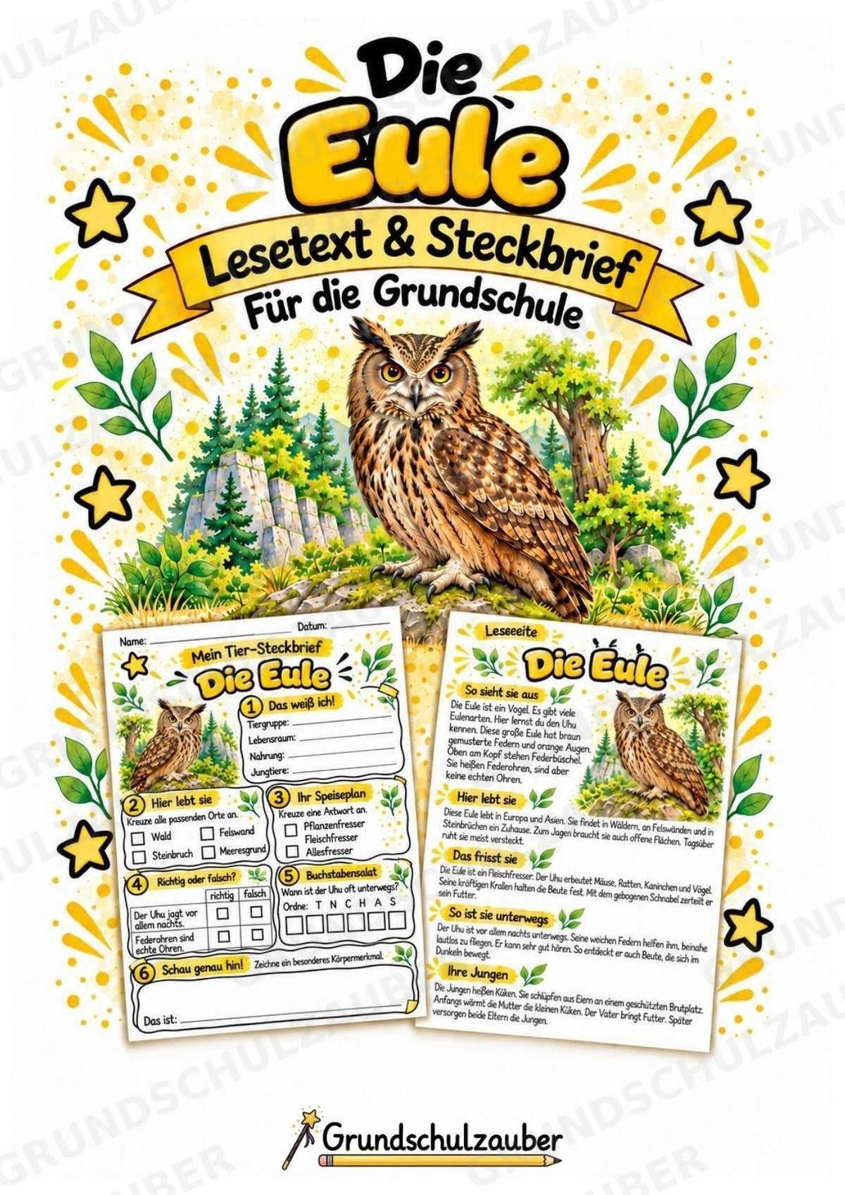 Eule - Lesetext & Steckbrief | Sachunterricht Tiere Grundschule – Cover