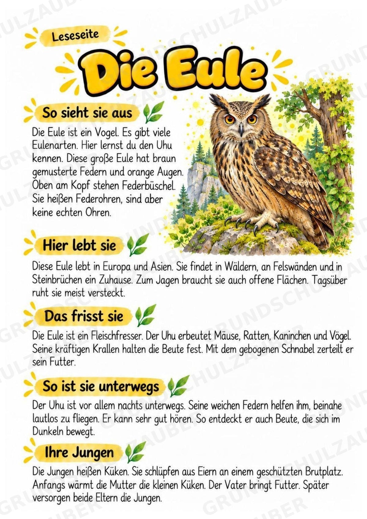 Eule - Lesetext & Steckbrief | Sachunterricht Tiere Grundschule – Materialseite 2