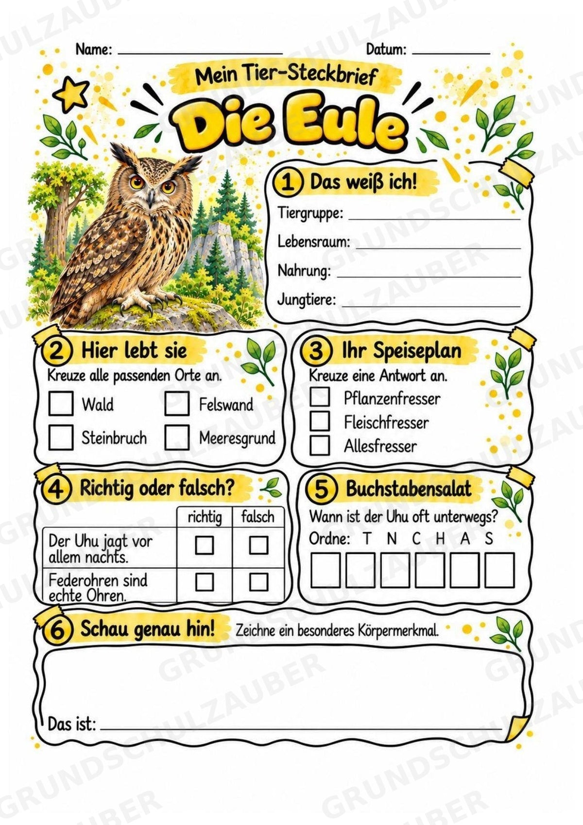 Eule - Lesetext & Steckbrief | Sachunterricht Tiere Grundschule – Materialseite 3
