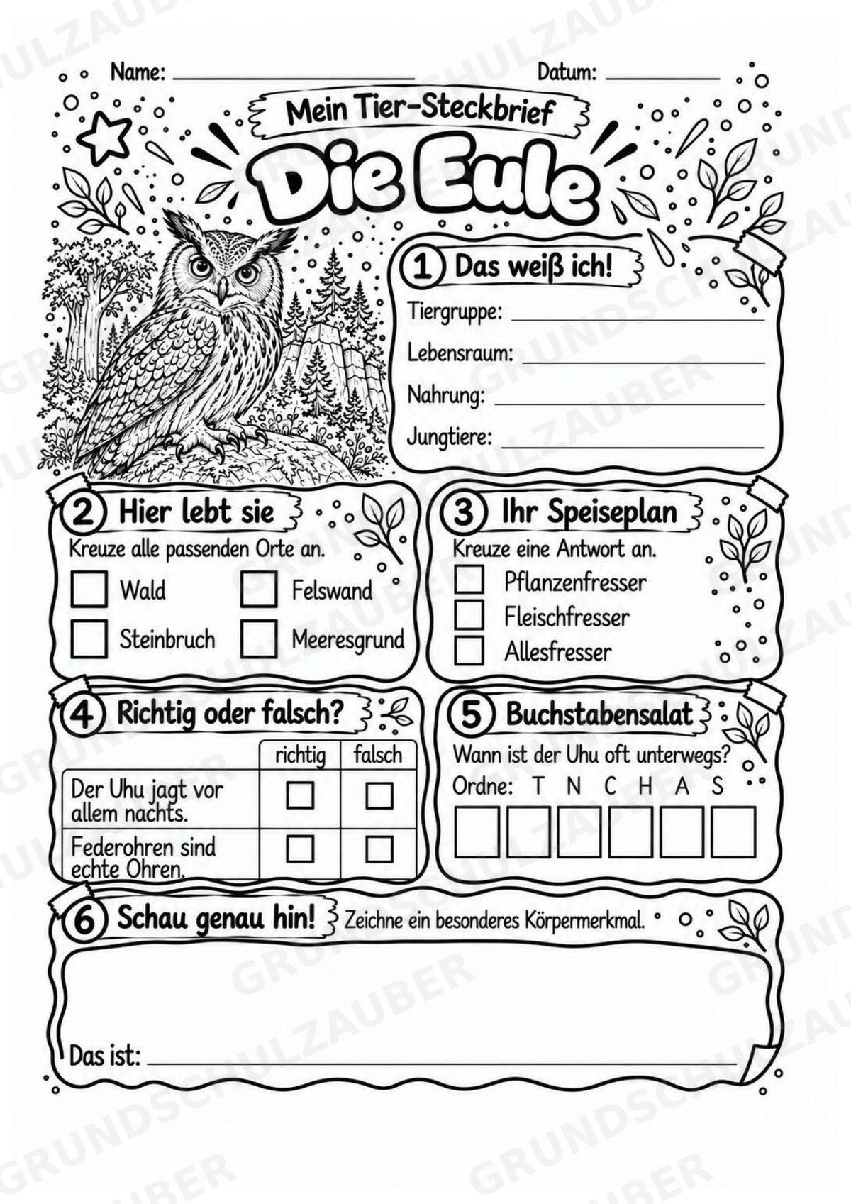 Eule - Lesetext & Steckbrief | Sachunterricht Tiere Grundschule – Materialseite 4
