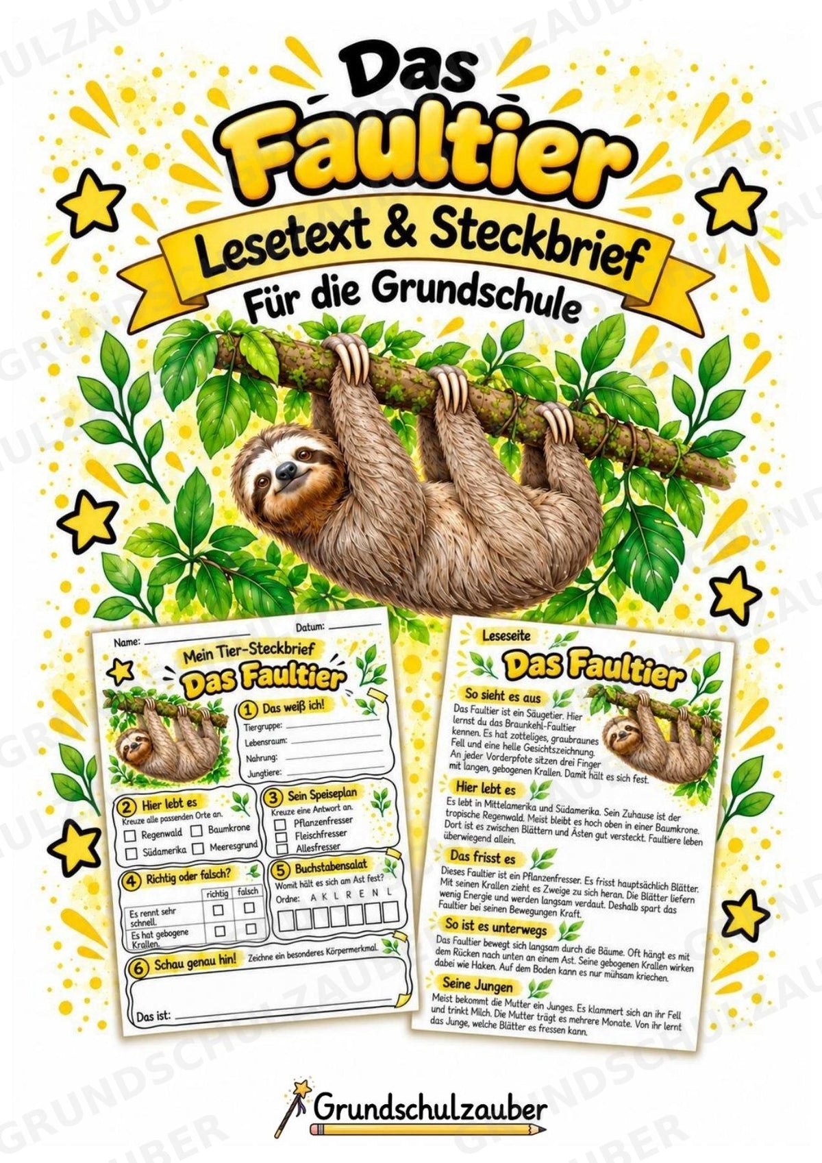 Faultier - Lesetext & Steckbrief | Sachunterricht Tiere Grundschule – Cover