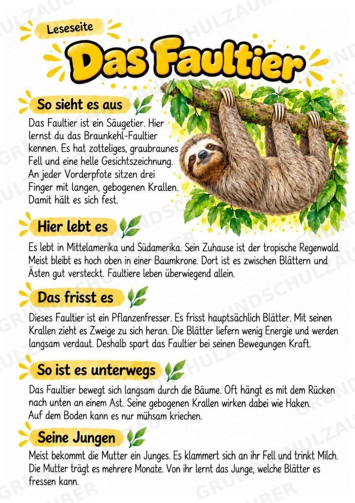 Faultier - Lesetext & Steckbrief | Sachunterricht Tiere Grundschule – Materialseite 2