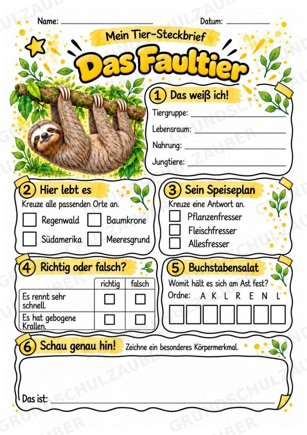 Faultier - Lesetext & Steckbrief | Sachunterricht Tiere Grundschule – Materialseite 3