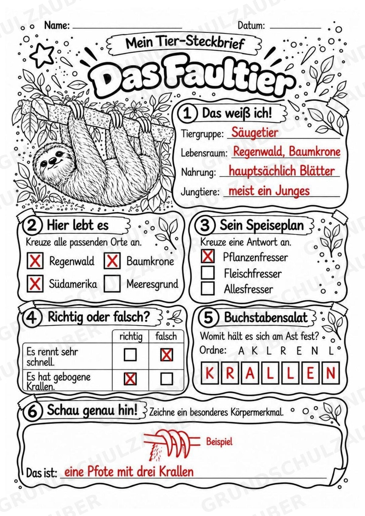 Faultier - Lesetext & Steckbrief | Sachunterricht Tiere Grundschule – Materialseite 5