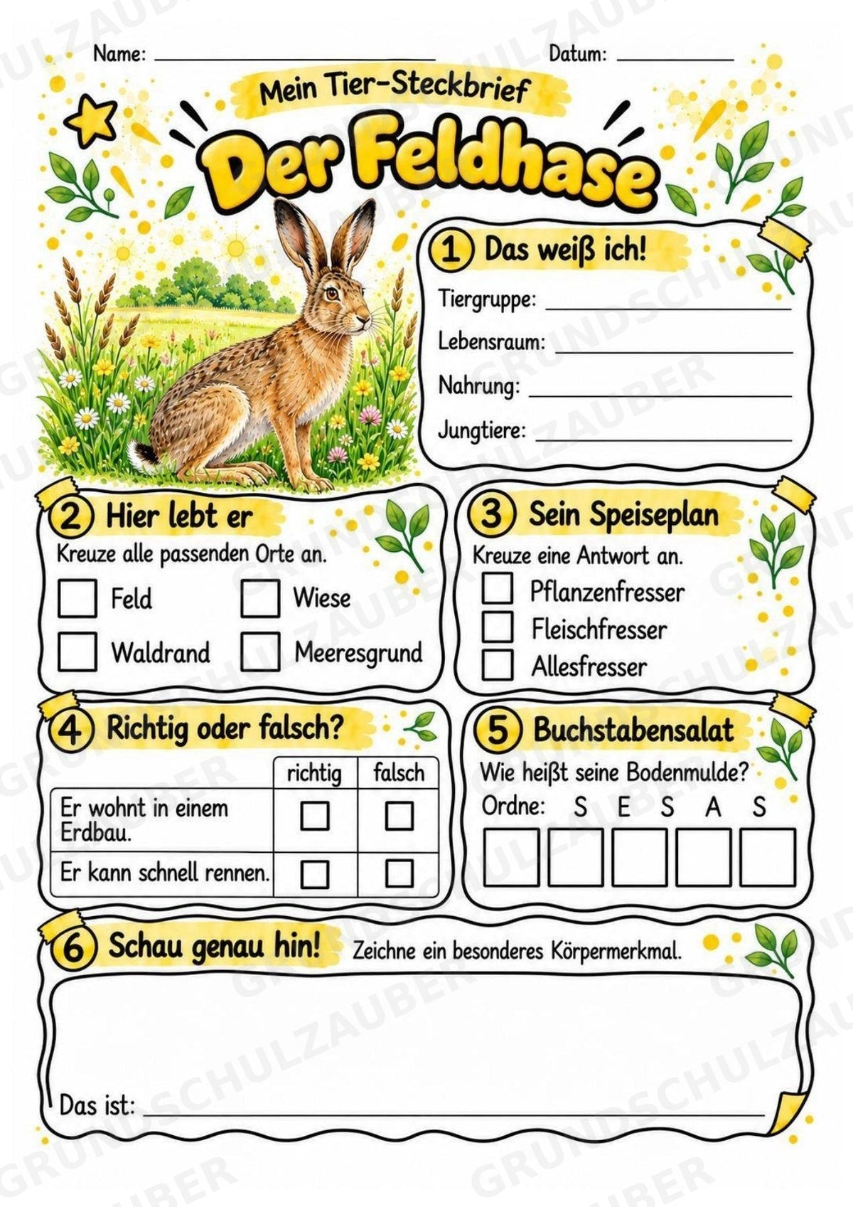 Feldhase - Lesetext & Steckbrief | Sachunterricht Tiere Grundschule – Materialseite 3