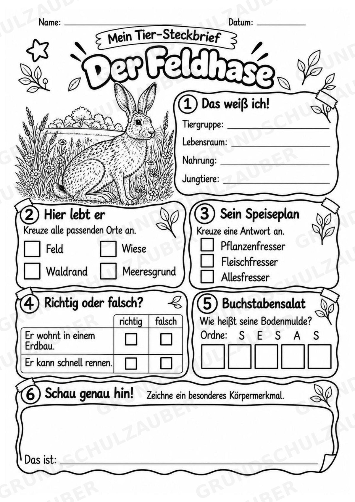Feldhase - Lesetext & Steckbrief | Sachunterricht Tiere Grundschule – Materialseite 4