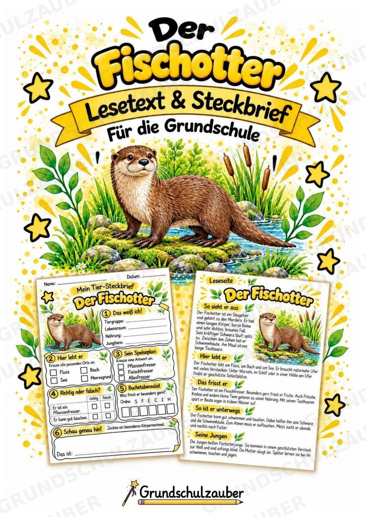 Fischotter - Lesetext & Steckbrief | Sachunterricht Tiere Grundschule – Cover