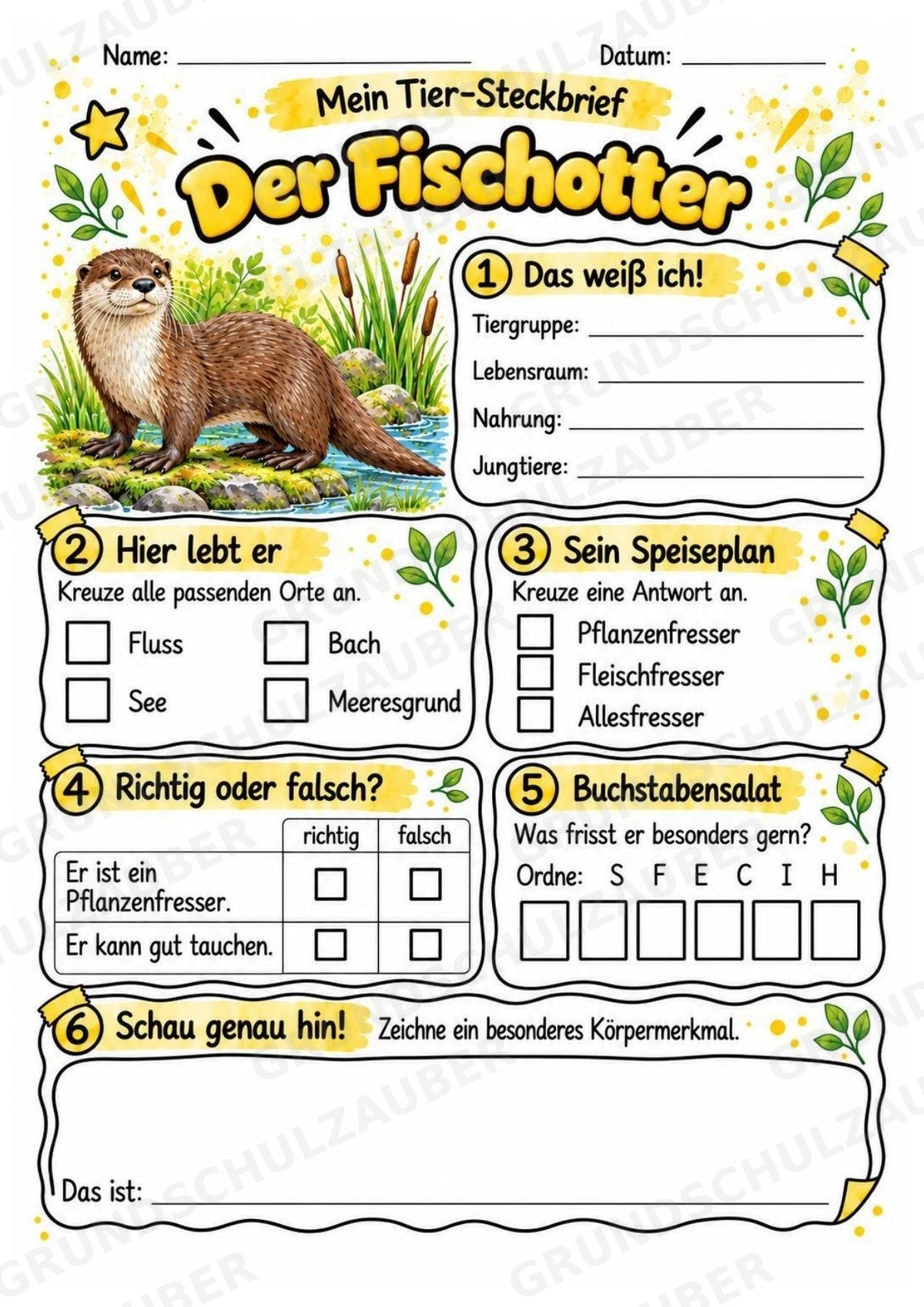 Fischotter - Lesetext & Steckbrief | Sachunterricht Tiere Grundschule – Materialseite 3