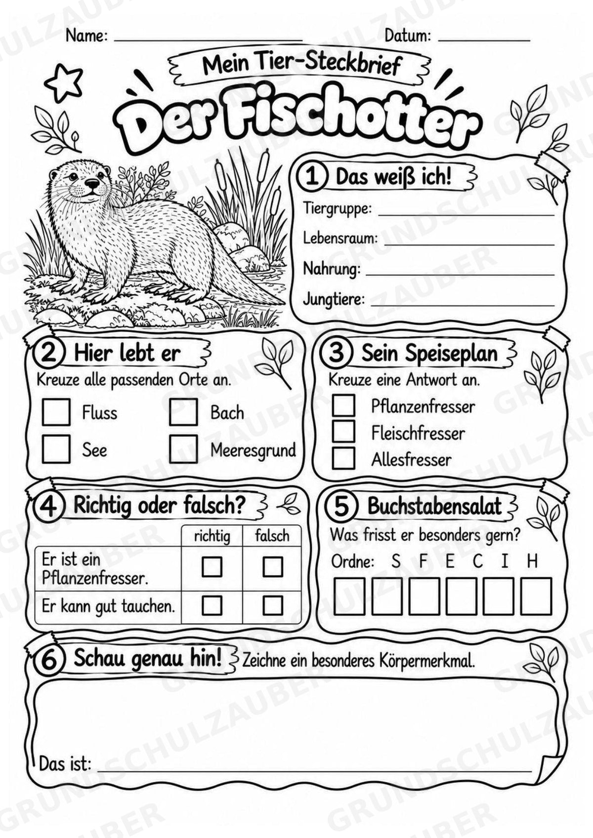 Fischotter - Lesetext & Steckbrief | Sachunterricht Tiere Grundschule – Materialseite 4