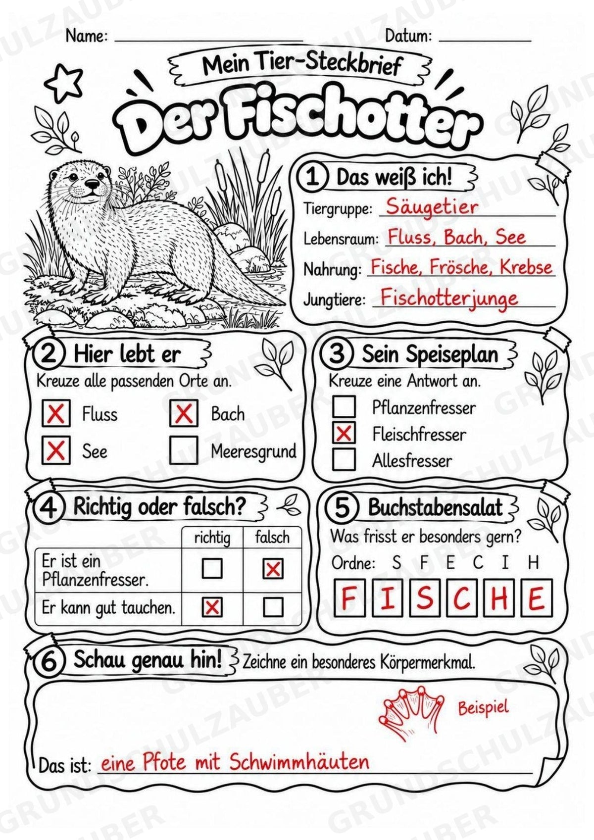 Fischotter - Lesetext & Steckbrief | Sachunterricht Tiere Grundschule – Materialseite 5