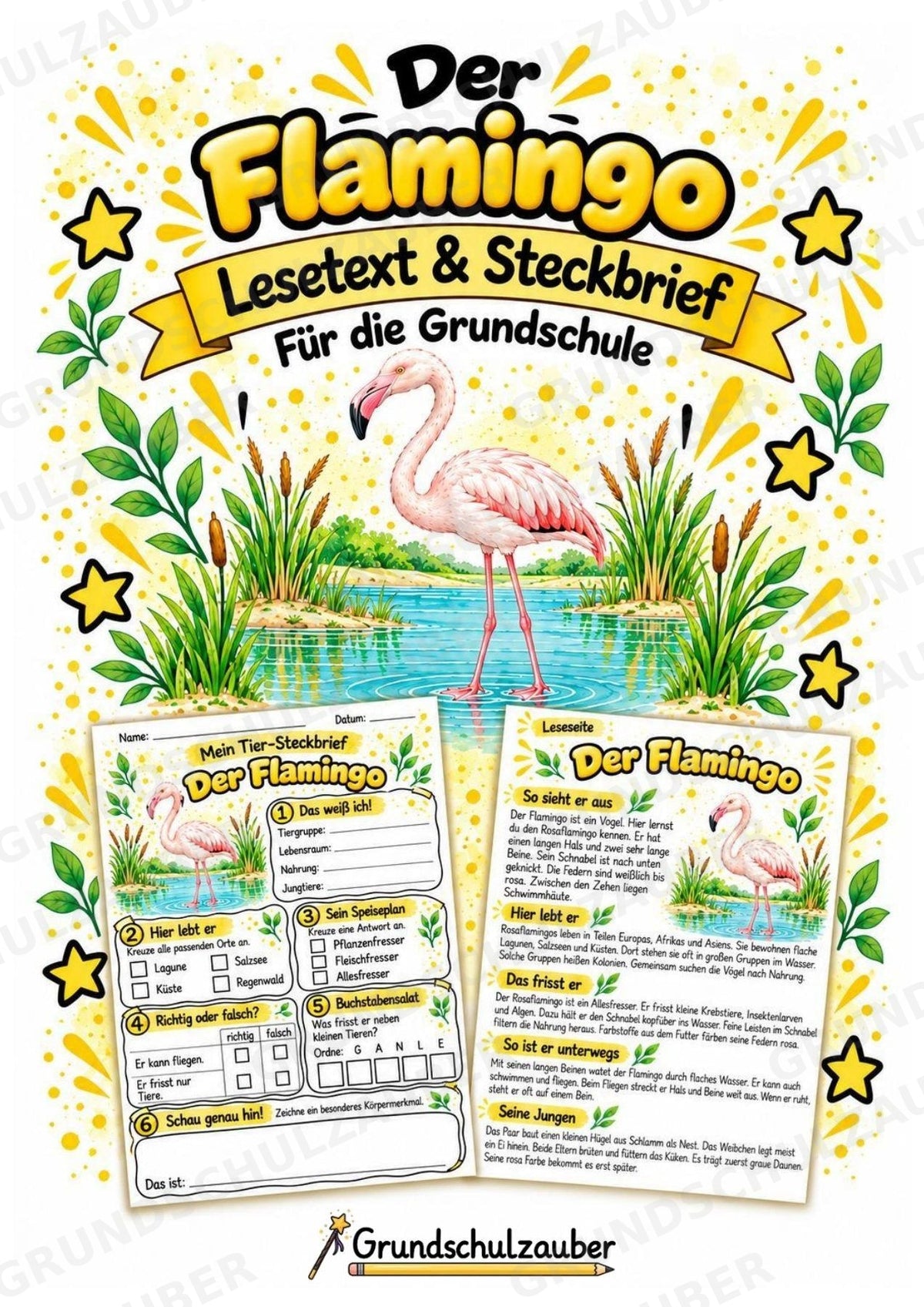 Flamingo - Lesetext & Steckbrief | Sachunterricht Tiere Grundschule – Cover