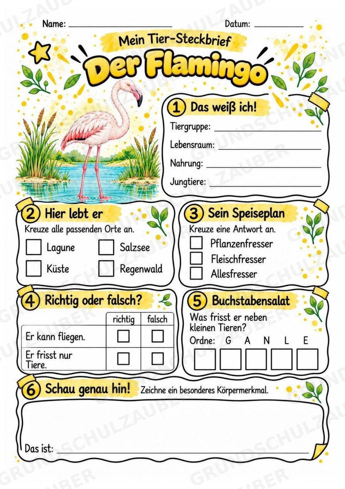 Flamingo - Lesetext & Steckbrief | Sachunterricht Tiere Grundschule – Materialseite 3