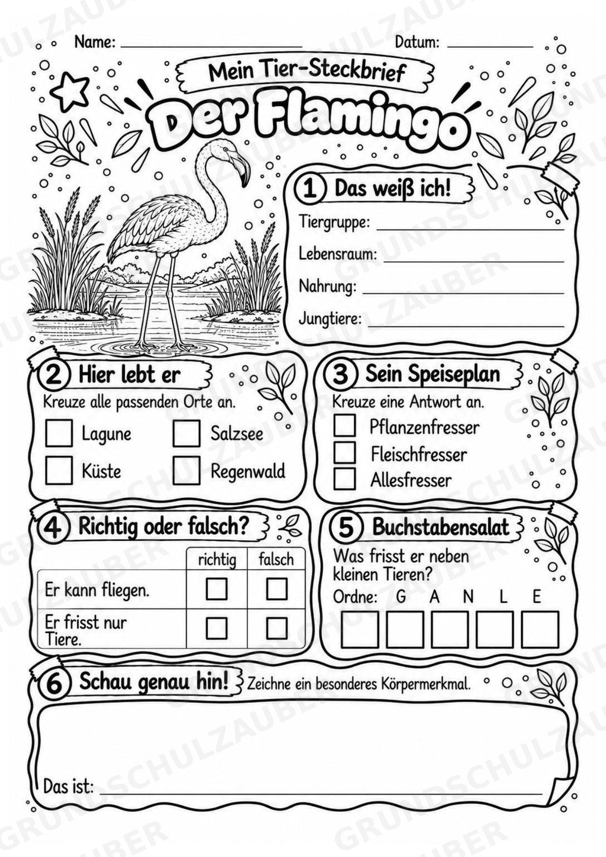Flamingo - Lesetext & Steckbrief | Sachunterricht Tiere Grundschule – Materialseite 4