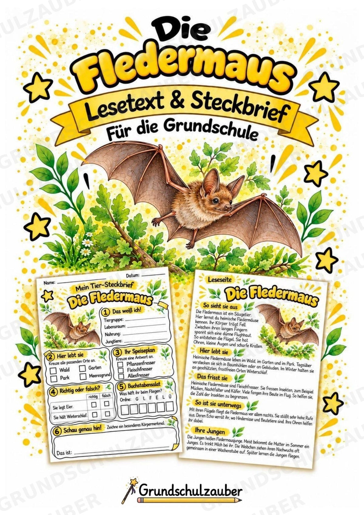 Fledermaus - Lesetext & Steckbrief | Sachunterricht Tiere Grundschule – Cover