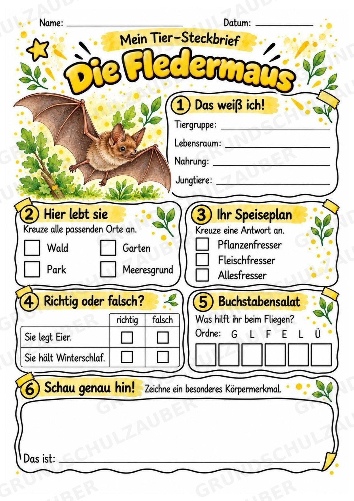Fledermaus - Lesetext & Steckbrief | Sachunterricht Tiere Grundschule – Materialseite 3
