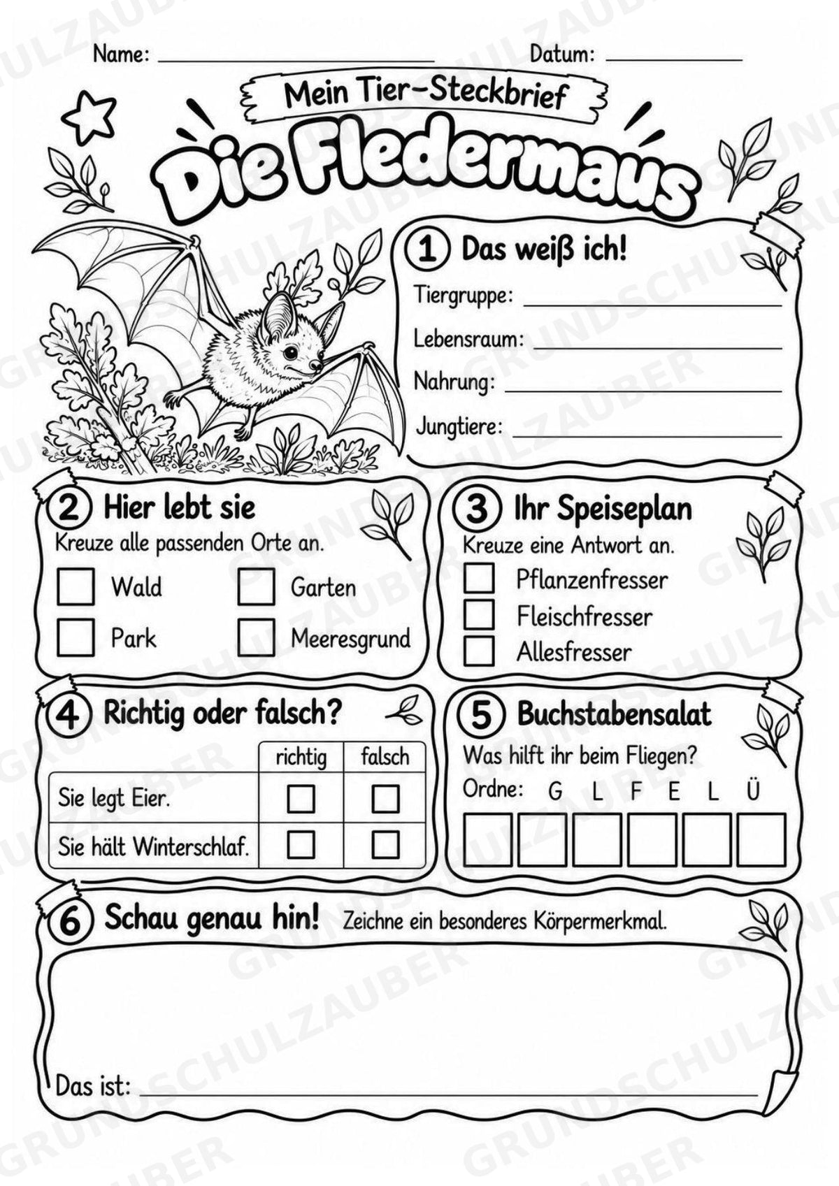 Fledermaus - Lesetext & Steckbrief | Sachunterricht Tiere Grundschule – Materialseite 4