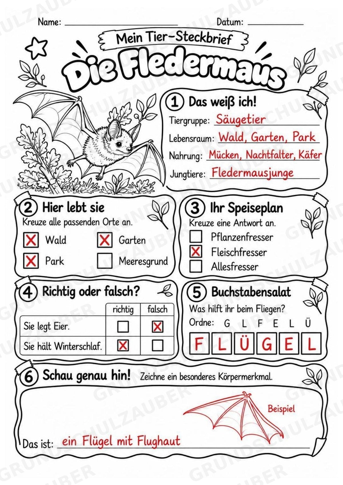 Fledermaus - Lesetext & Steckbrief | Sachunterricht Tiere Grundschule – Materialseite 5