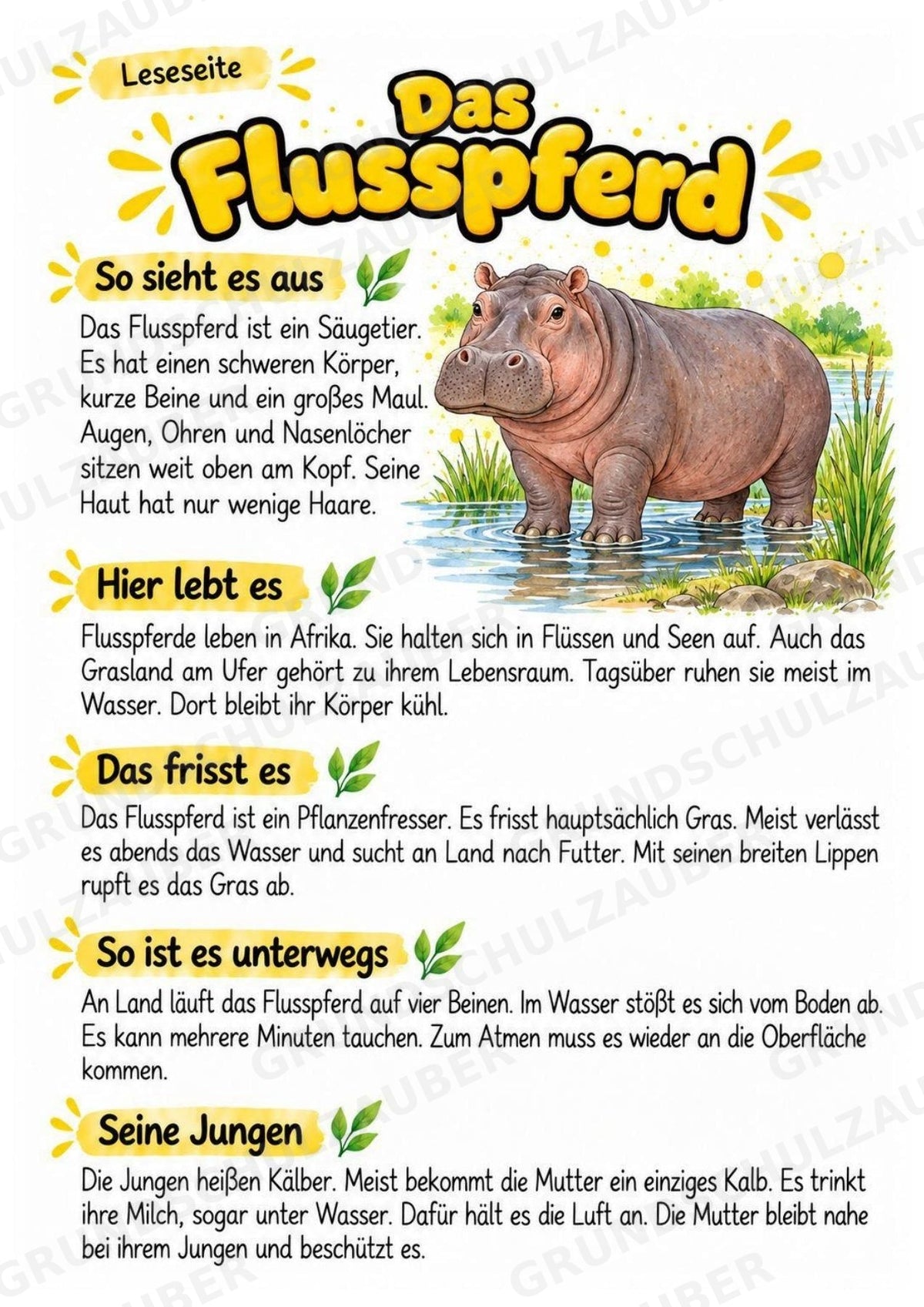 Flusspferd - Lesetext & Steckbrief | Sachunterricht Tiere Grundschule – Materialseite 2
