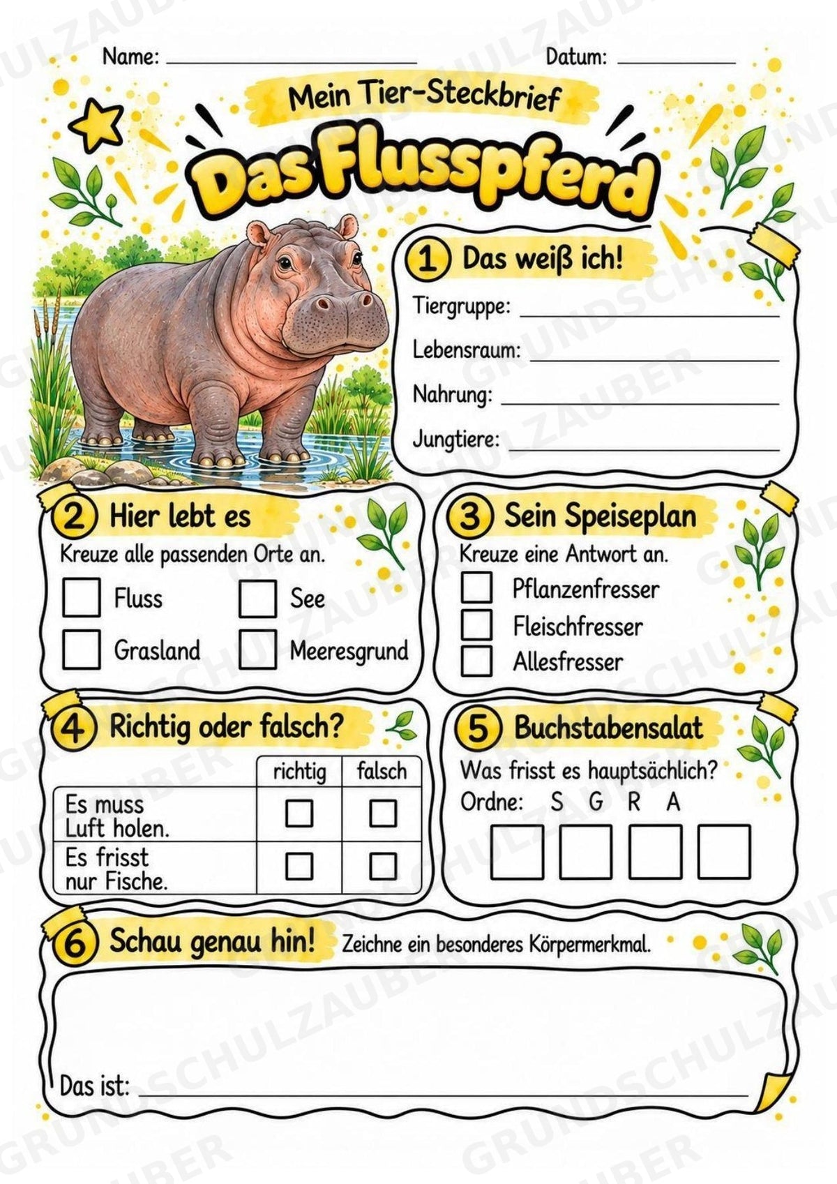 Flusspferd - Lesetext & Steckbrief | Sachunterricht Tiere Grundschule – Materialseite 3