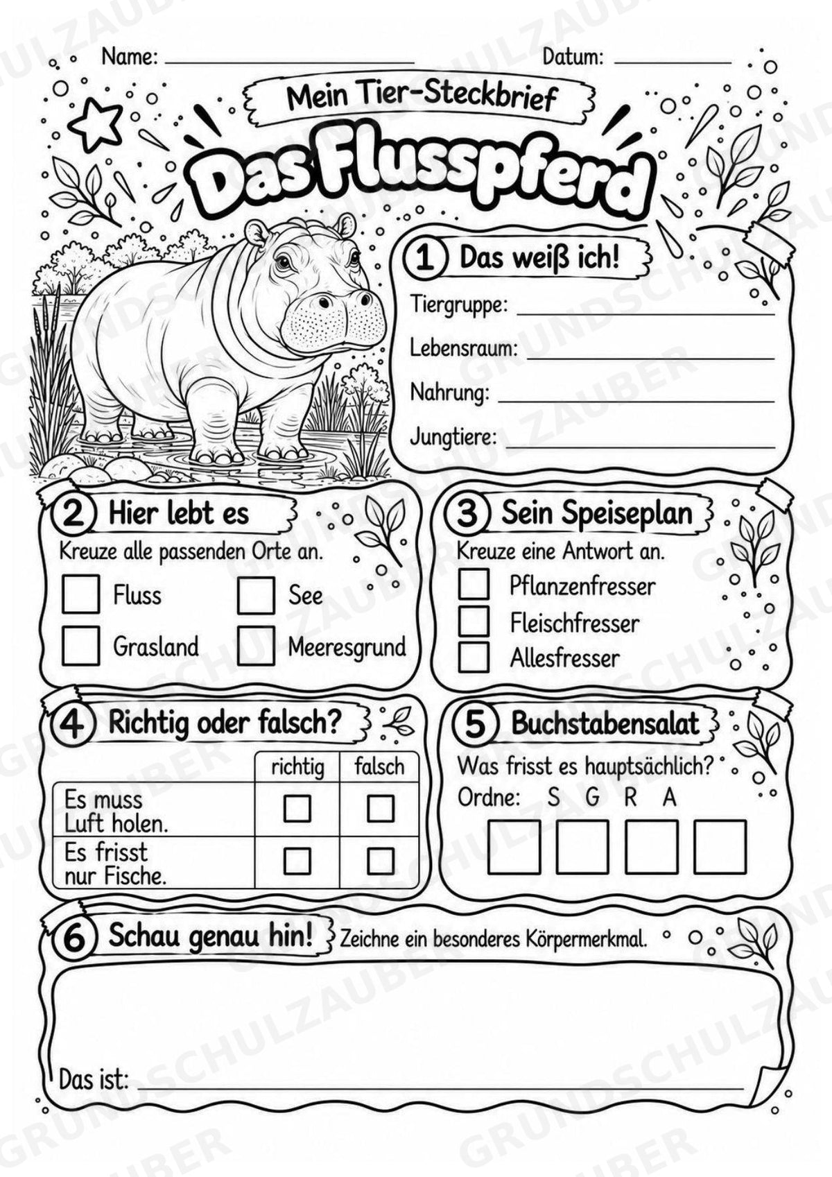 Flusspferd - Lesetext & Steckbrief | Sachunterricht Tiere Grundschule – Materialseite 4