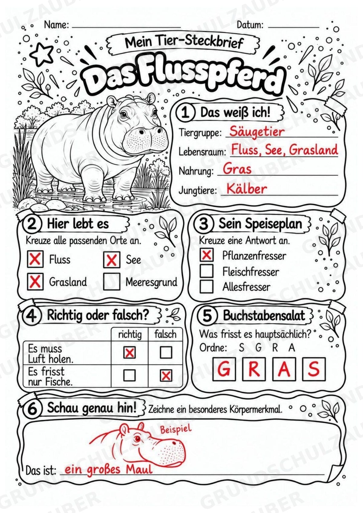 Flusspferd - Lesetext & Steckbrief | Sachunterricht Tiere Grundschule – Materialseite 5