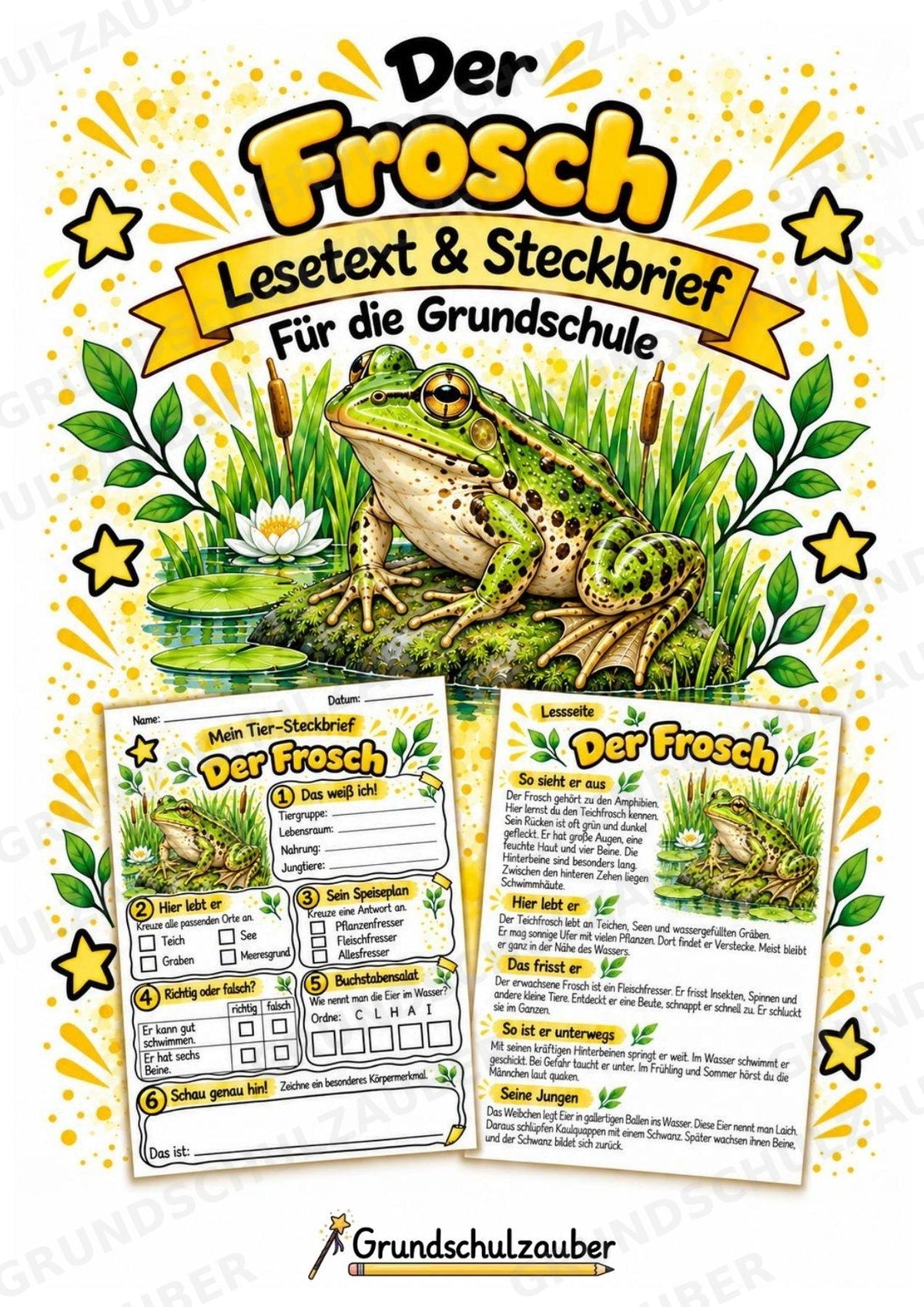 Frosch - Lesetext & Steckbrief | Sachunterricht Tiere Grundschule – Cover