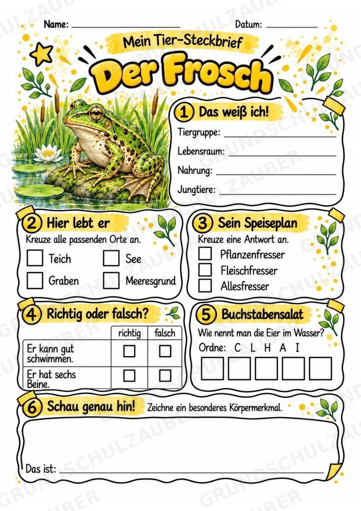 Frosch - Lesetext & Steckbrief | Sachunterricht Tiere Grundschule – Materialseite 3