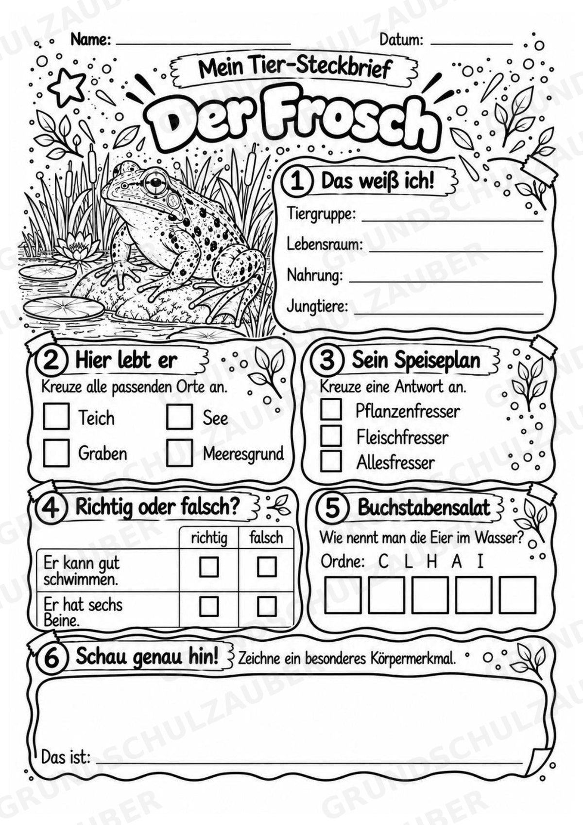 Frosch - Lesetext & Steckbrief | Sachunterricht Tiere Grundschule – Materialseite 4