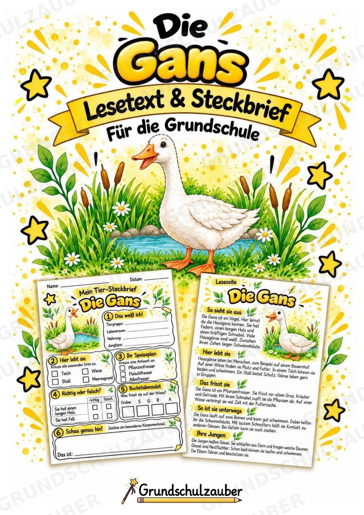 Gans - Lesetext & Steckbrief | Sachunterricht Tiere Grundschule – Cover