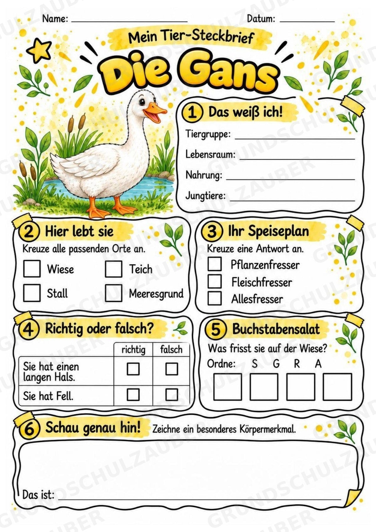 Gans - Lesetext & Steckbrief | Sachunterricht Tiere Grundschule – Materialseite 3