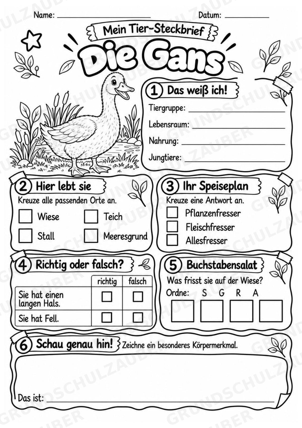 Gans - Lesetext & Steckbrief | Sachunterricht Tiere Grundschule – Materialseite 4