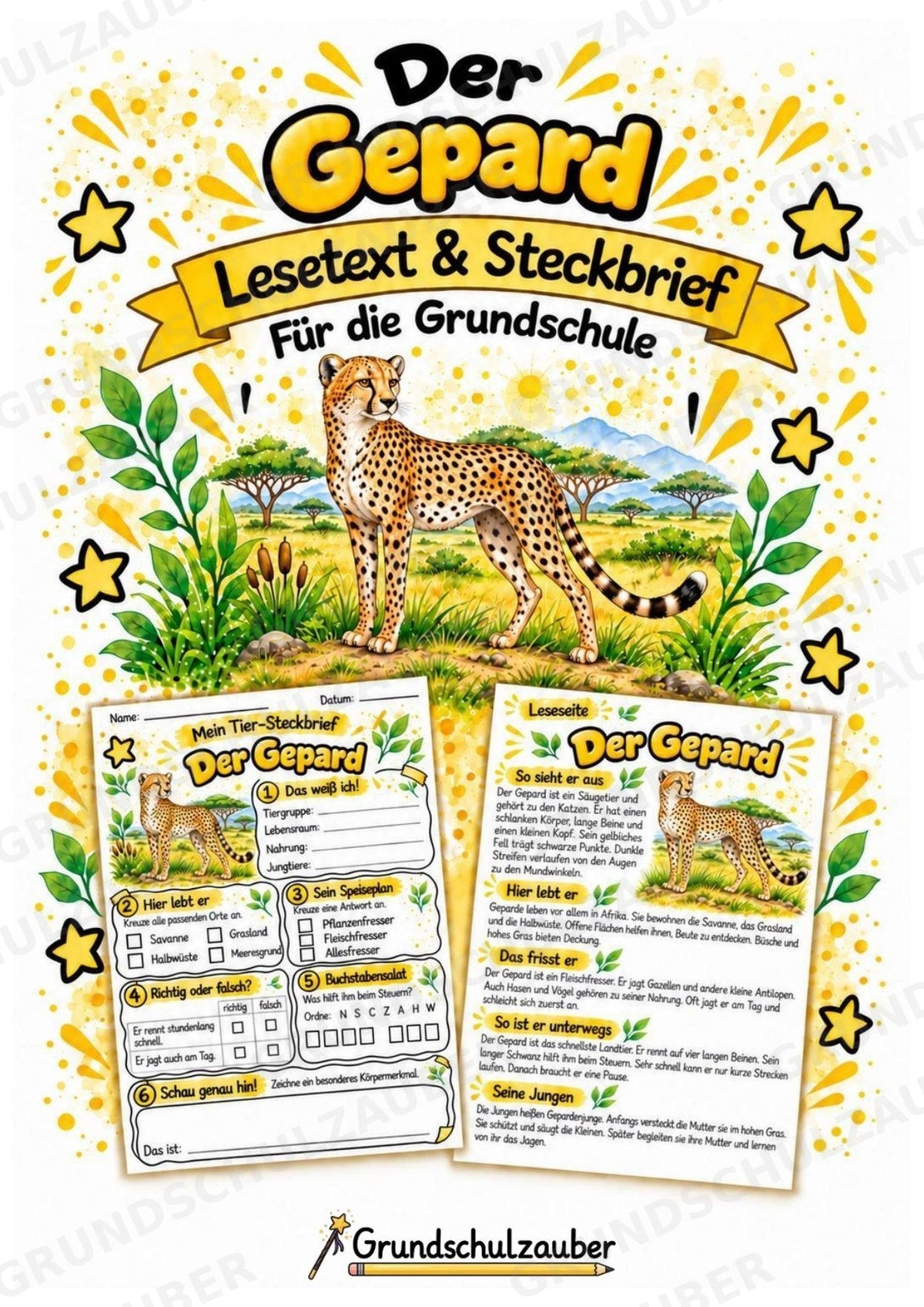 Gepard - Lesetext & Steckbrief | Sachunterricht Tiere Grundschule – Cover