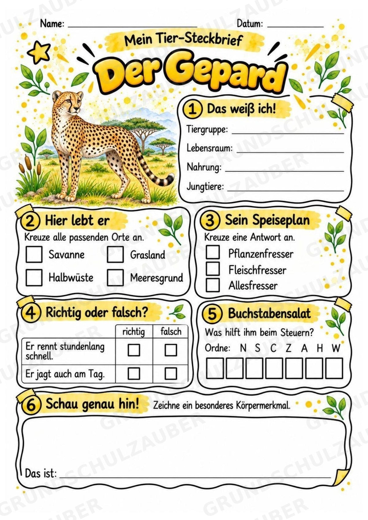 Gepard - Lesetext & Steckbrief | Sachunterricht Tiere Grundschule – Materialseite 3