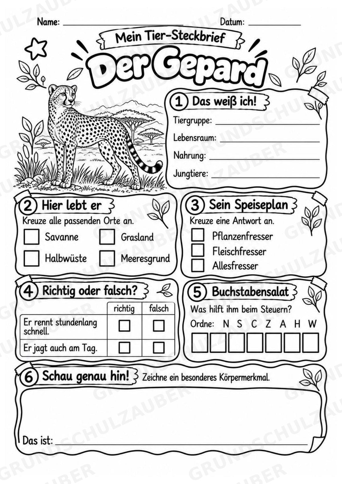 Gepard - Lesetext & Steckbrief | Sachunterricht Tiere Grundschule – Materialseite 4