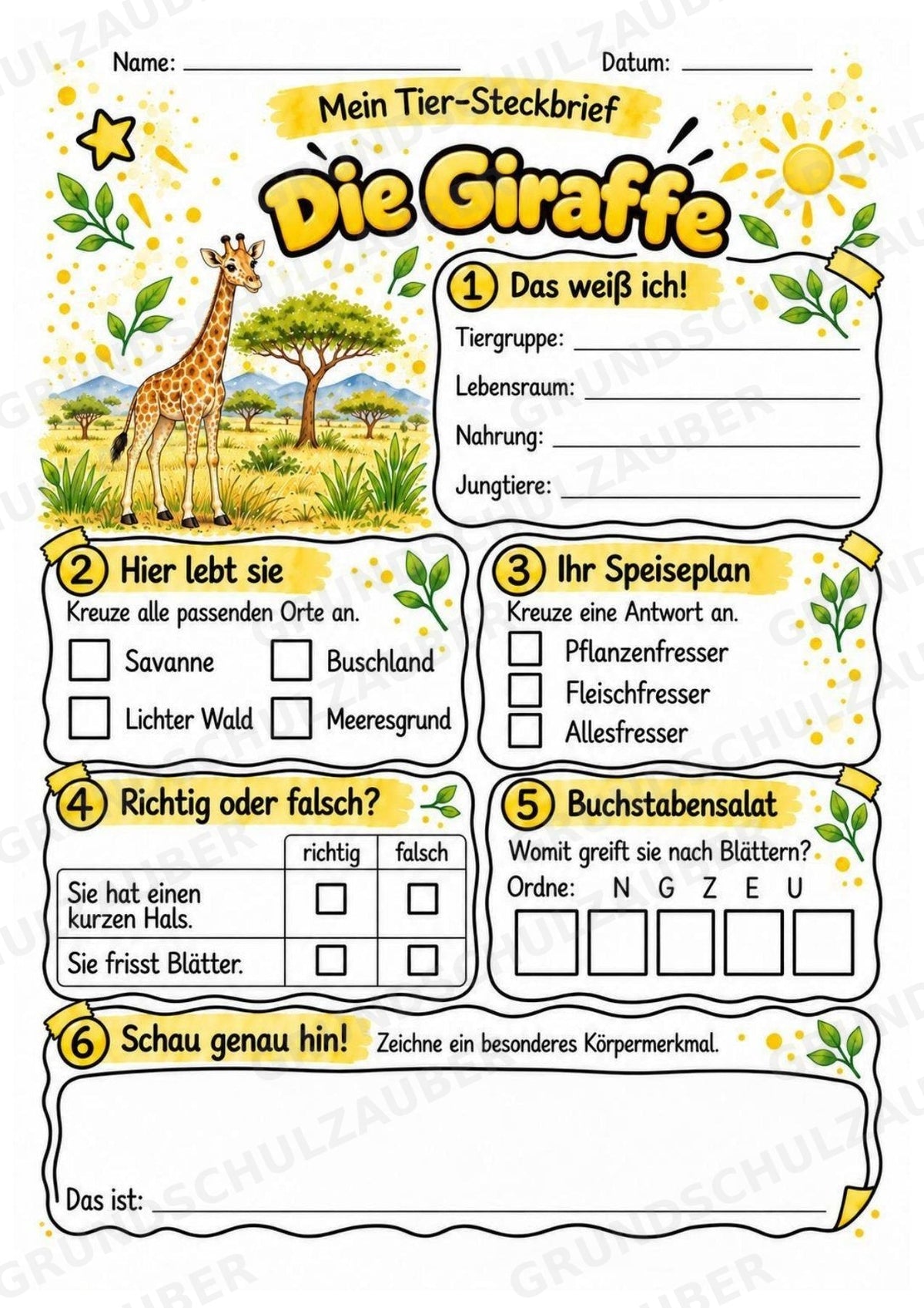 Giraffe - Lesetext & Steckbrief | Sachunterricht Tiere Grundschule – Materialseite 3