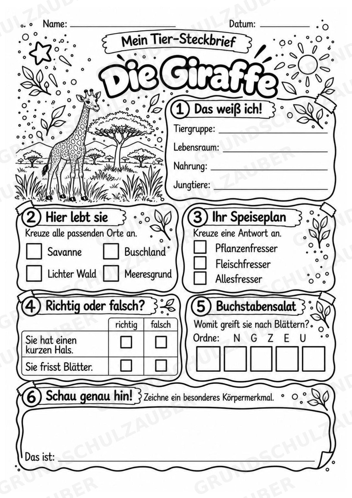 Giraffe - Lesetext & Steckbrief | Sachunterricht Tiere Grundschule – Materialseite 4
