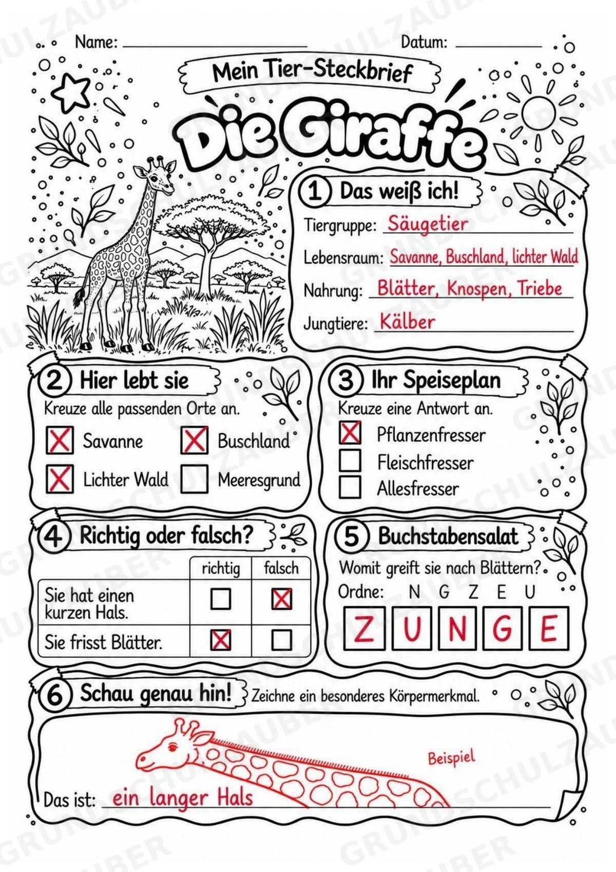 Giraffe - Lesetext & Steckbrief | Sachunterricht Tiere Grundschule – Materialseite 5