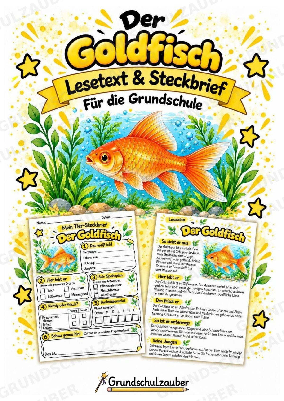 Goldfisch - Lesetext & Steckbrief | Sachunterricht Tiere Grundschule – Cover
