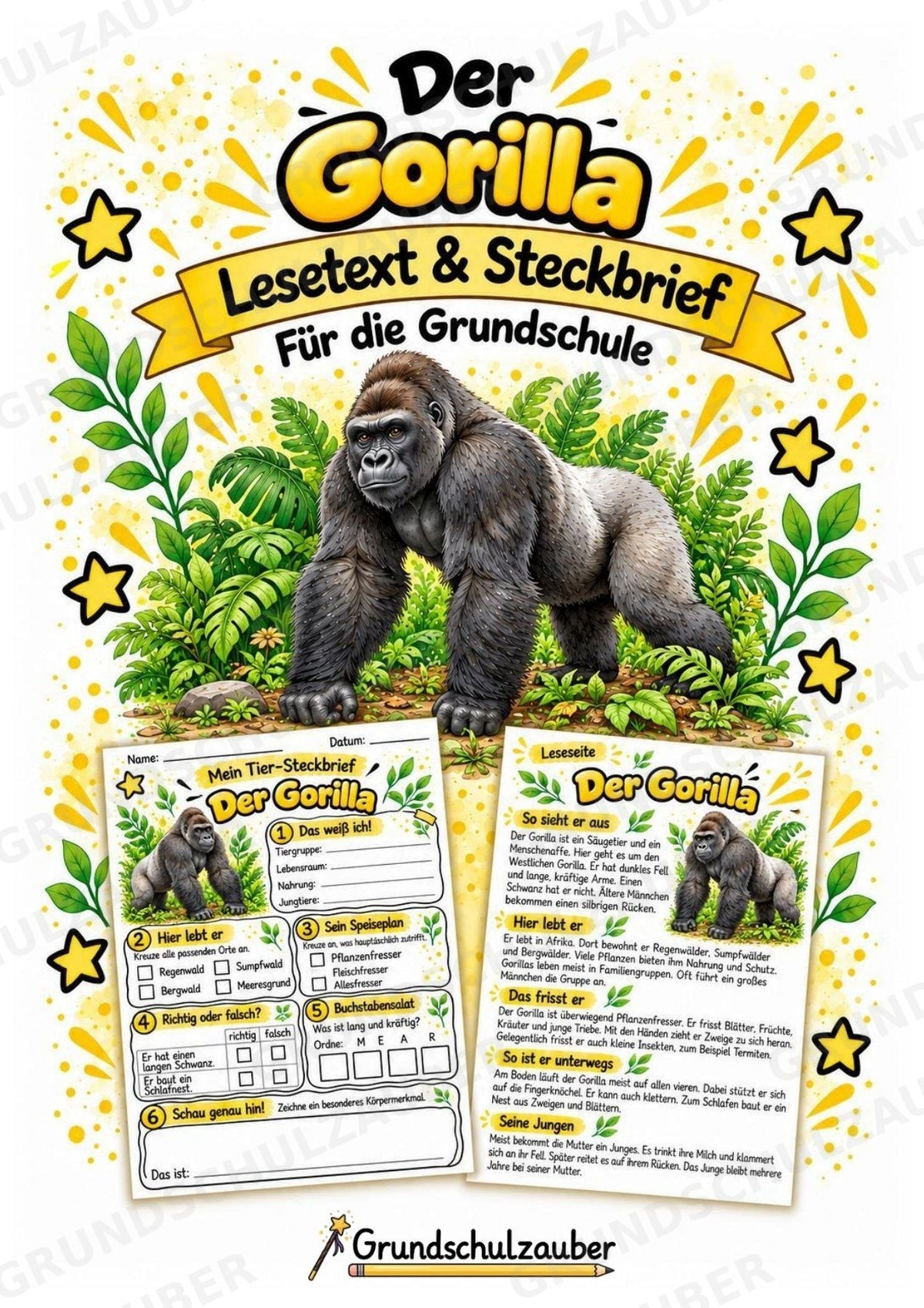 Gorilla - Lesetext & Steckbrief | Sachunterricht Tiere Grundschule – Cover