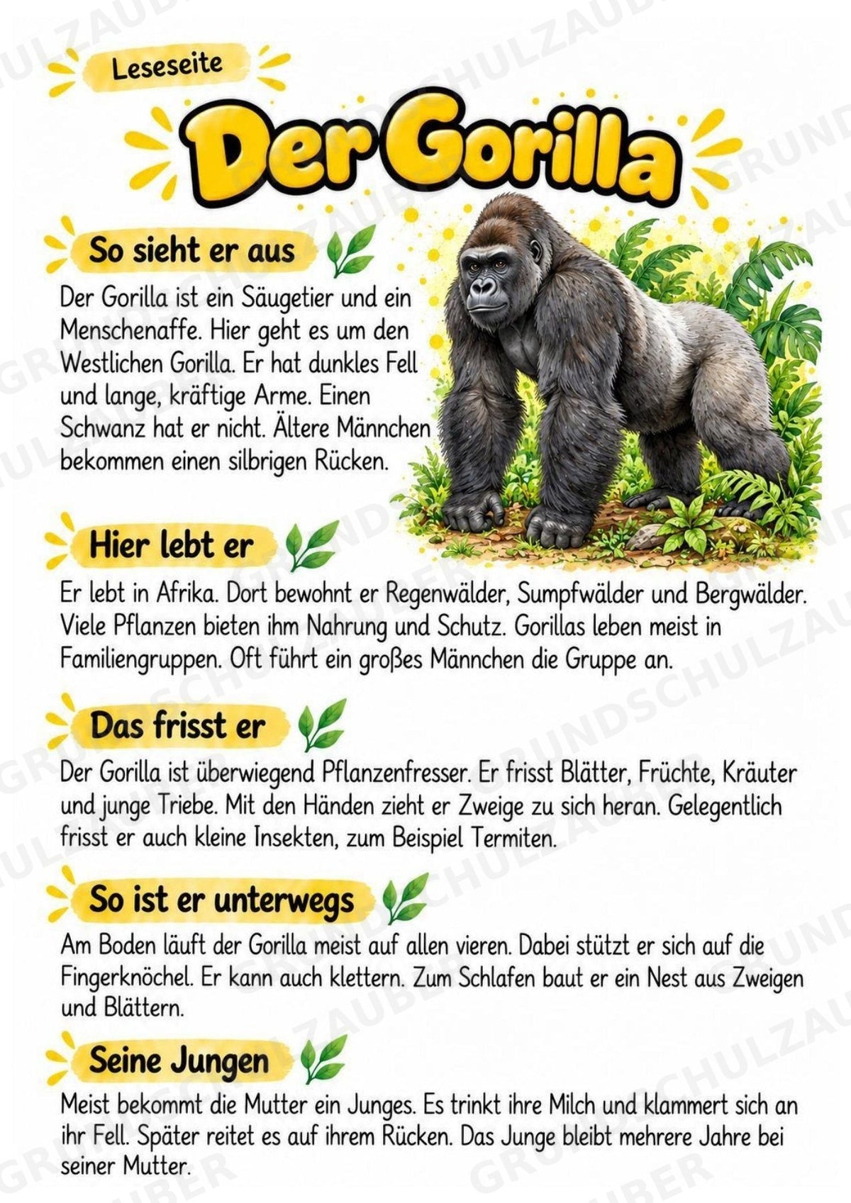 Gorilla - Lesetext & Steckbrief | Sachunterricht Tiere Grundschule – Materialseite 2