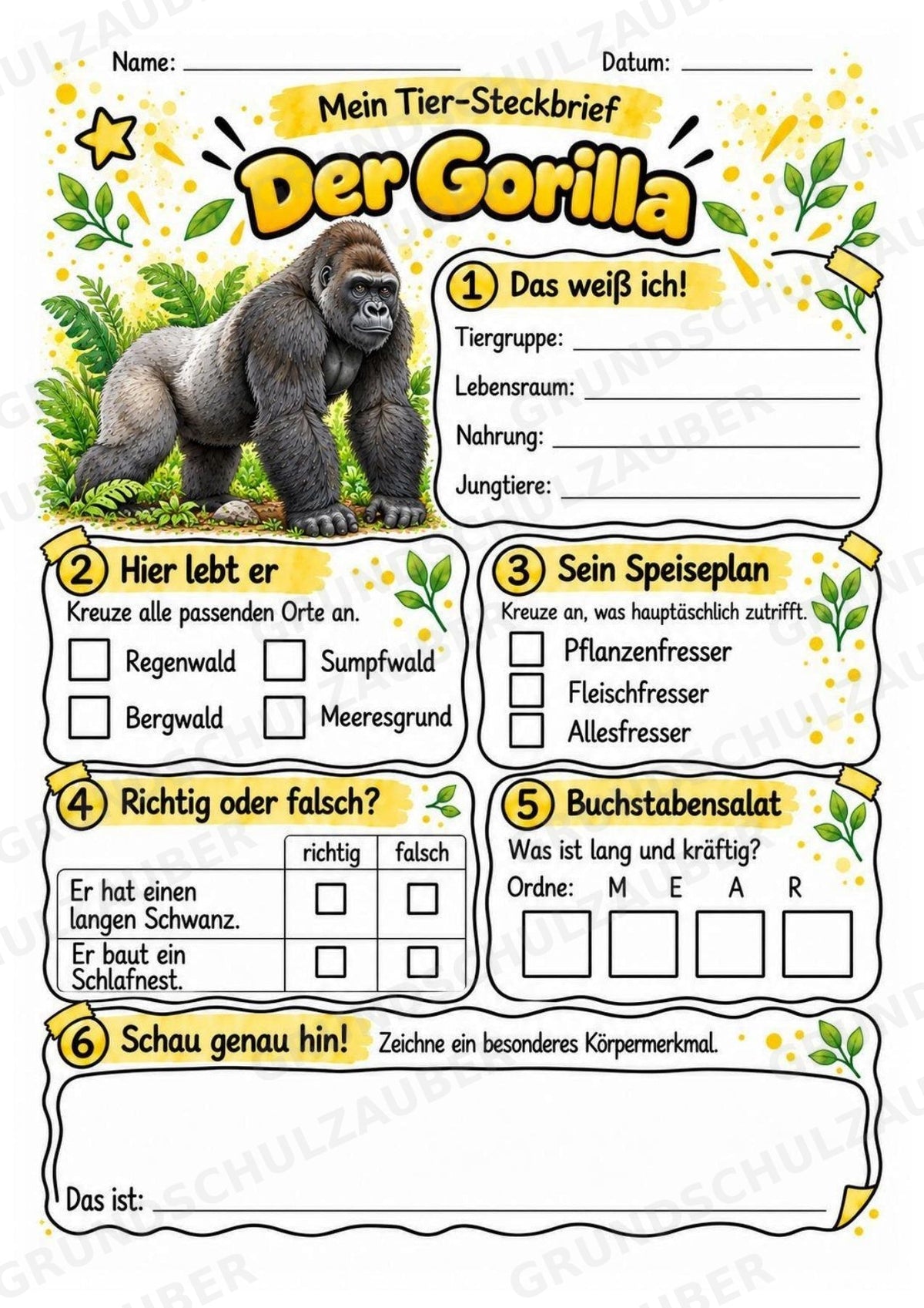 Gorilla - Lesetext & Steckbrief | Sachunterricht Tiere Grundschule – Materialseite 3