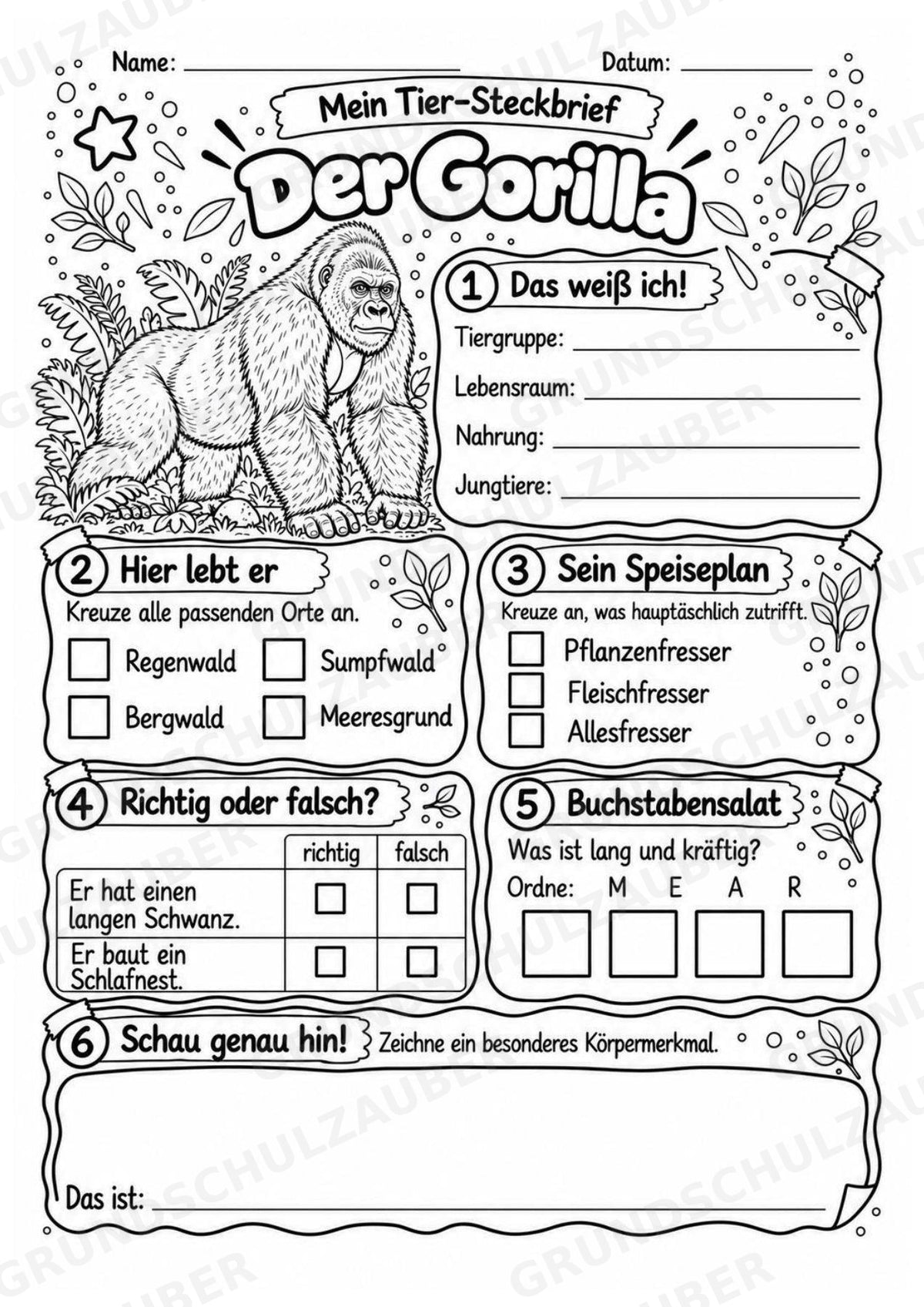 Gorilla - Lesetext & Steckbrief | Sachunterricht Tiere Grundschule – Materialseite 4