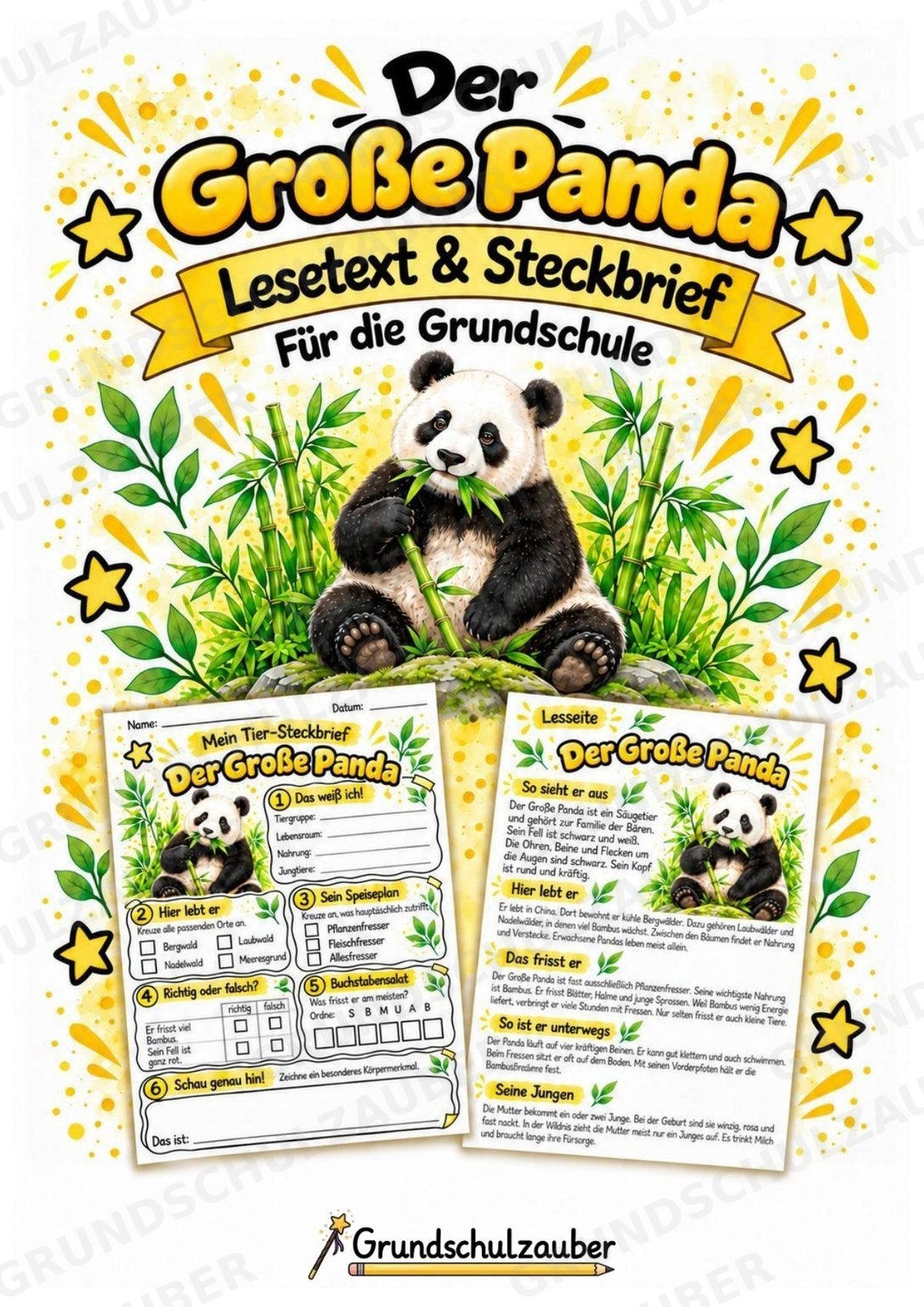 Grosser Panda - Lesetext & Steckbrief | Sachunterricht Tiere Grundschule – Cover