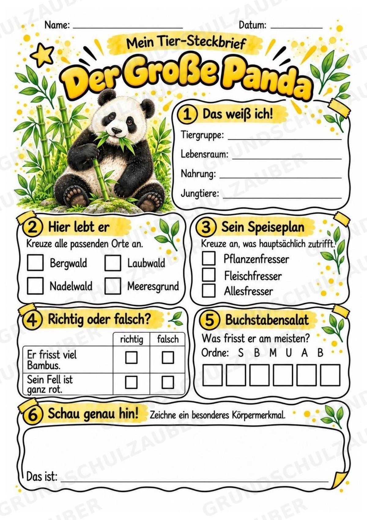 Grosser Panda - Lesetext & Steckbrief | Sachunterricht Tiere Grundschule – Materialseite 3