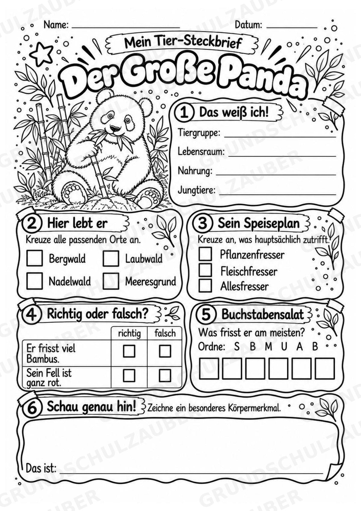 Grosser Panda - Lesetext & Steckbrief | Sachunterricht Tiere Grundschule – Materialseite 4