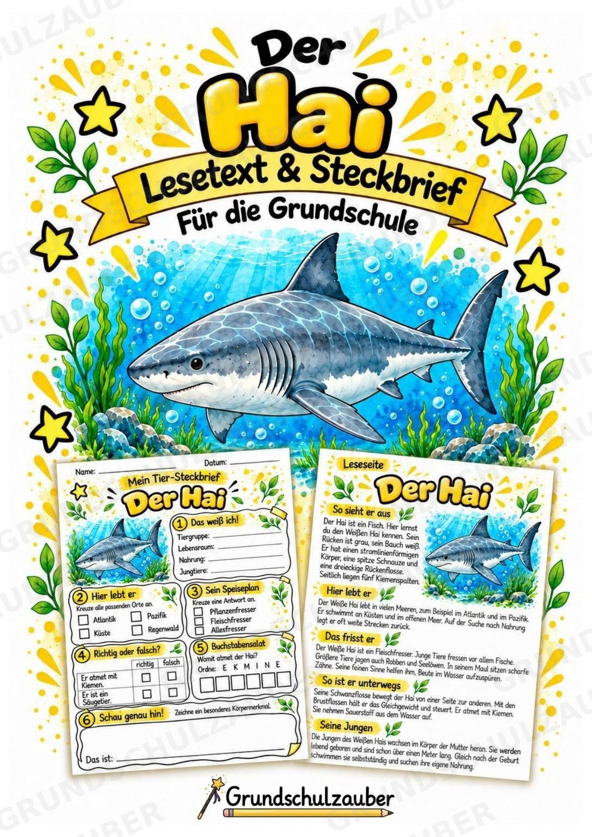 Hai - Lesetext & Steckbrief | Sachunterricht Tiere Grundschule – Cover