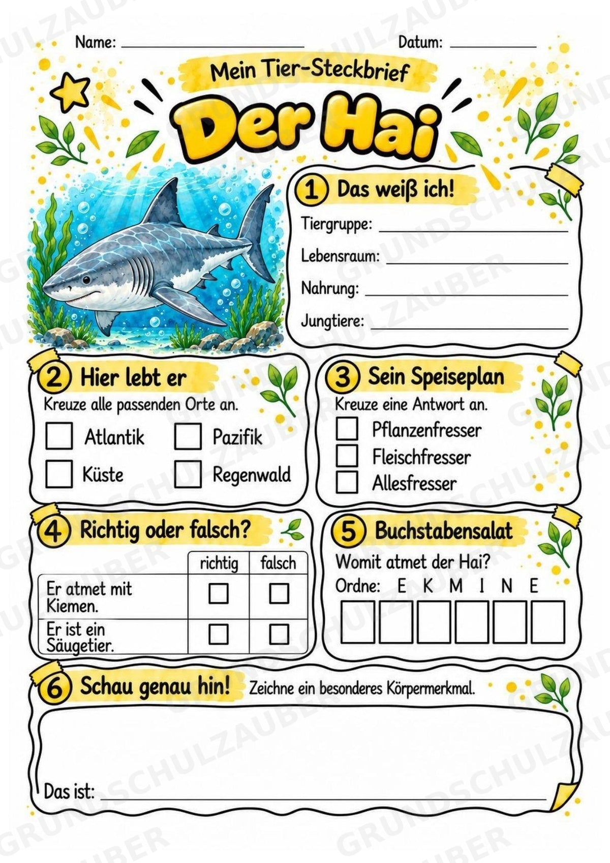 Hai - Lesetext & Steckbrief | Sachunterricht Tiere Grundschule – Materialseite 3