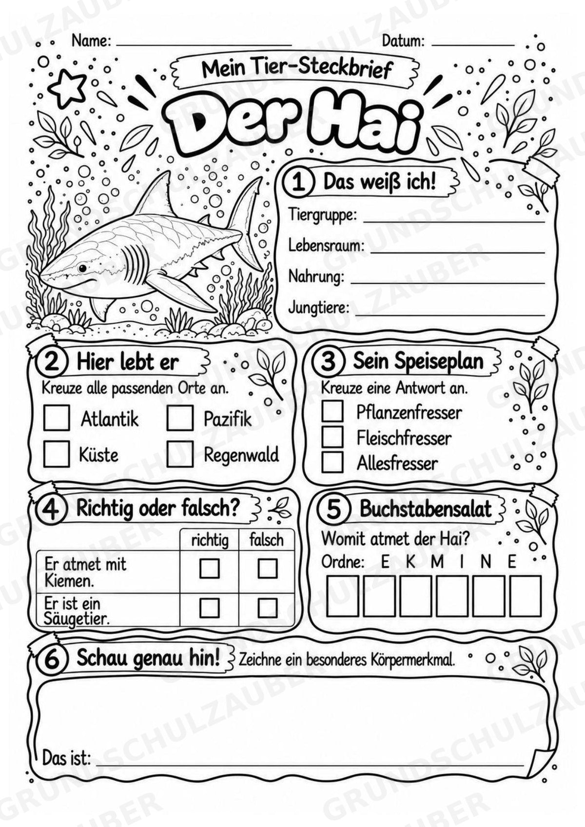 Hai - Lesetext & Steckbrief | Sachunterricht Tiere Grundschule – Materialseite 4