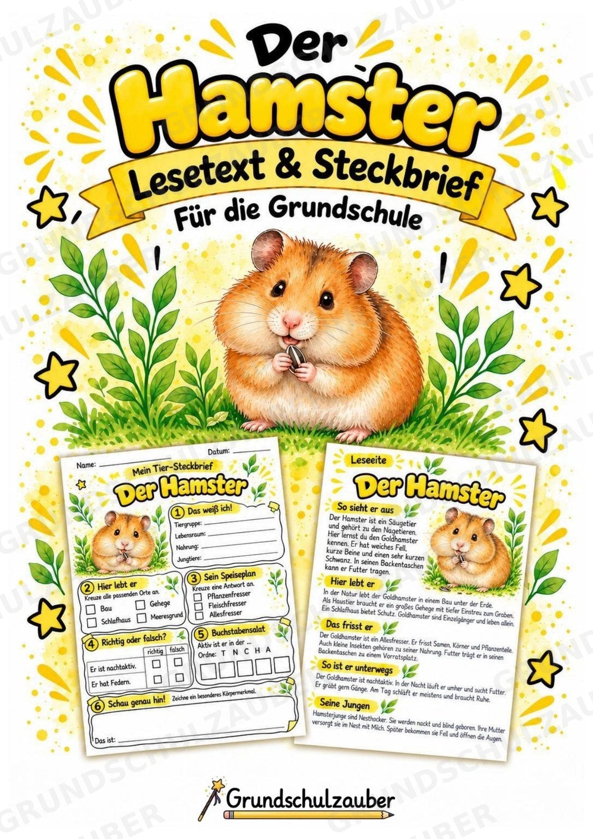 Hamster - Lesetext & Steckbrief | Sachunterricht Tiere Grundschule – Cover